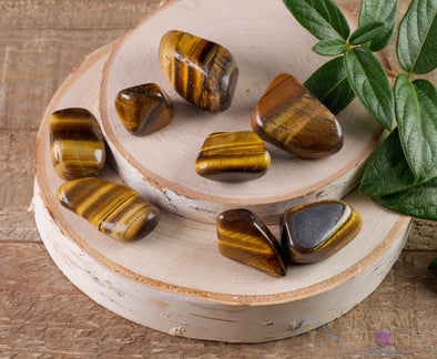 TIGERS EYE Tumbled Stones - Tumbled Crystals, Self Care, Healing Crystals and Stones, E0558-Throwin Stones