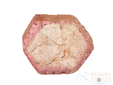 TOURMALINE Crystal Cabochons - Birthstone, Gemstones, Jewelry Making, Watermelon Tourmaline, Raw Crystals and Stones, 39609-Throwin Stones