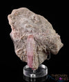 TOURMALINE Elbaite Pink on Matrix, Raw Crystal Cluster - Birthstone, Housewarming Gift, Home Decor, Raw Crystals and Stones, 37700-Throwin Stones