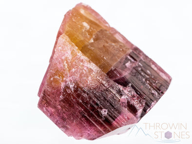 TOURMALINE Raw Crystal - Bicolor Pink Yellow - Birthstone, Gemstones, Wire Wrap, Jewelry Making, Raw Crystals and Stones, 39356-Throwin Stones
