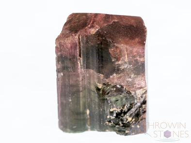 TOURMALINE Raw Crystal - Birthstone, Gemstones, Wire Wrap, Jewelry Making, Raw Crystals and Stones, 39363-Throwin Stones