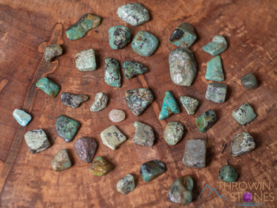 TURQUOISE Crystal Chips - Small Crystals, Birthstones, Gemstones, Jewelry Making, Tumbled Crystals, E1879-Throwin Stones