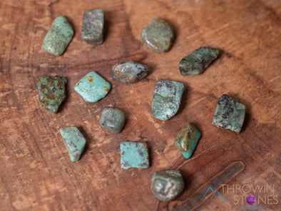 TURQUOISE Crystal Chips - Small Crystals, Birthstones, Gemstones, Jewelry Making, Tumbled Crystals, E1879-Throwin Stones