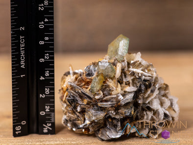 Tabular APATITE on ALBITE w MUSCOVITE Raw Crystal Cluster - Housewarming Gift, Home Decor, Raw Crystals and Stones, 40658-Throwin Stones