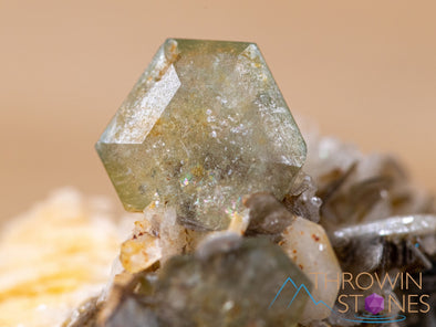 Tabular APATITE on ALBITE w MUSCOVITE Raw Crystal Cluster - Housewarming Gift, Home Decor, Raw Crystals and Stones, 40658-Throwin Stones