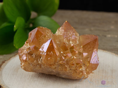 Tangerine AURA QUARTZ - Rainbow Aura Quartz, Crystal Cluster, Spirit Quartz, Crystal Decor, Metaphysical, R0496-Throwin Stones