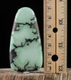 Turquoise VARISCITE Crystal Cabochon - Gemstones, Jewelry Making, Crystals, 37247-Throwin Stones