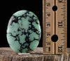 Turquoise VARISCITE Crystal Cabochon - Oval - Gemstones, Jewelry Making, Crystals, Stones, 37874-Throwin Stones