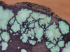 Turquoise VARISCITE Crystal Slab - Jewelry Making, Unique Gift, Home Decor, 40283-Throwin Stones