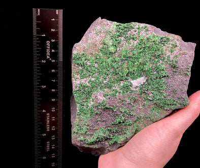 UVAROVITE Raw Crystal Cluster Druzy - Rare Calcium Chromium Green Garnet Stone - Home Decor, Raw Crystals and Stones, 51655-Throwin Stones