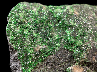 UVAROVITE Raw Crystal Cluster Druzy - Rare Calcium Chromium Green Garnet Stone - Home Decor, Raw Crystals and Stones, 51658-Throwin Stones