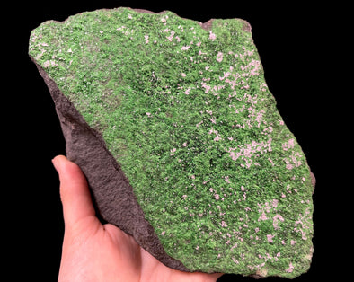 UVAROVITE Raw Crystal Cluster Druzy - Rare Calcium Chromium Green Garnet Stone - Home Decor, Raw Crystals and Stones, 51659-Throwin Stones