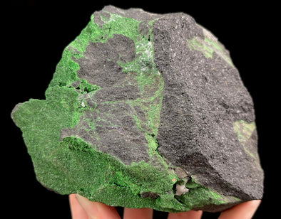 UVAROVITE Raw Crystal Cluster Druzy - Rare Calcium Chromium Green Garnet Stone - Home Decor, Raw Crystals and Stones, 51661-Throwin Stones