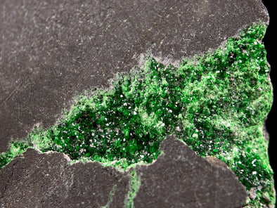 UVAROVITE Raw Crystal Cluster Druzy - Rare Calcium Chromium Green Garnet Stone - Home Decor, Raw Crystals and Stones, 51663-Throwin Stones