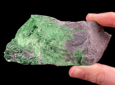 UVAROVITE Raw Crystal Cluster Druzy - Rare Calcium Chromium Green Garnet Stone - Home Decor, Raw Crystals and Stones, 51666-Throwin Stones