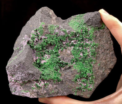UVAROVITE Raw Crystal Cluster Druzy - Rare Calcium Chromium Green Garnet Stone - Home Decor, Raw Crystals and Stones, 51667-Throwin Stones