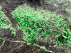 UVAROVITE Raw Crystal Cluster Druzy - Rare Calcium Chromium Green Garnet Stone - Home Decor, Raw Crystals and Stones, 51668-Throwin Stones