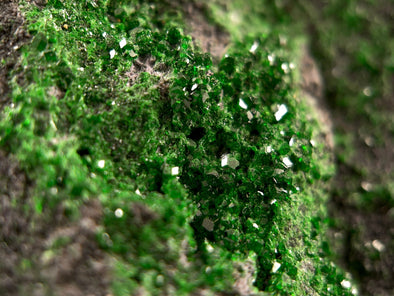 UVAROVITE Raw Crystal Cluster Druzy - Rare Calcium Chromium Green Garnet Stone - Home Decor, Raw Crystals and Stones, 51675-Throwin Stones
