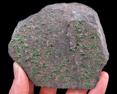 UVAROVITE Raw Crystal Cluster Druzy - Rare Calcium Chromium Green Garnet Stone - Home Decor, Raw Crystals and Stones, 51678-Throwin Stones