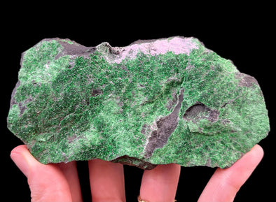 UVAROVITE Raw Crystal Cluster Druzy - Rare Calcium Chromium Green Garnet Stone - Home Decor, Raw Crystals and Stones, 51682-Throwin Stones