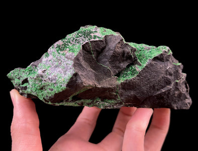 UVAROVITE Raw Crystal Cluster Druzy - Rare Calcium Chromium Green Garnet Stone - Home Decor, Raw Crystals and Stones, 51684-Throwin Stones