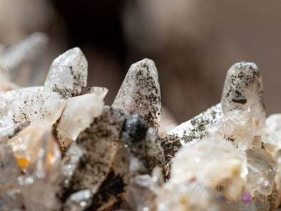 WITCHES FINGER QUARTZ, Raw Crystal Cluster - Housewarming Gift, Home Decor, Raw Crystals and Stones, 39779-Throwin Stones