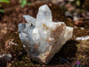 WITCHES FINGER QUARTZ, Raw Crystal Cluster - Housewarming Gift, Home Decor, Raw Crystals and Stones, 39782-Throwin Stones