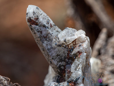 WITCHES FINGER QUARTZ, Raw Crystal Cluster - Housewarming Gift, Home Decor, Raw Crystals and Stones, 39783-Throwin Stones