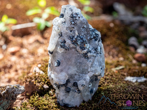 WITCHES FINGER QUARTZ, Raw Crystal Cluster - Housewarming Gift, Home Decor, Raw Crystals and Stones, 39789-Throwin Stones