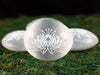 White SELENITE Crystal Palm Stone - Lotus Flower - Worry Stone, Self Care, Healing Crystals and Stones, E2105-Throwin Stones