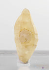 Yellow SAPPHIRE Raw Crystal - Birthstones, Gemstones, Unique Gift, Jewelry Making, 37839-Throwin Stones