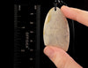 Fossil Coral Pendant Indonesia A0065-Throwin Stones
