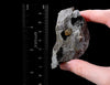 Herkimer Diamond Quartz on Matrix w Iron A0059-Throwin Stones
