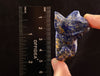 Lapis Lazuli Dog Carving A0055-Throwin Stones