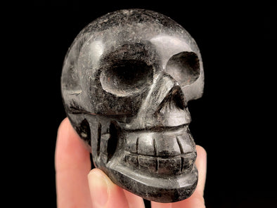 Shungite Skull Russia 2.5" A0096-Throwin Stones